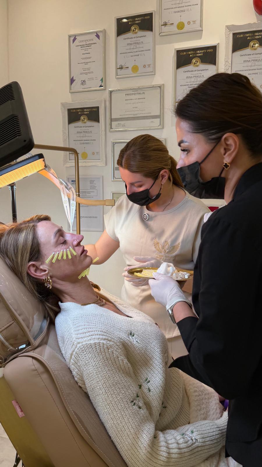 Aesthetic training course session